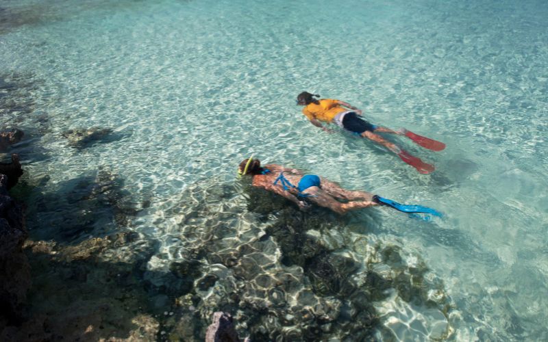 family snorkeling bahamas